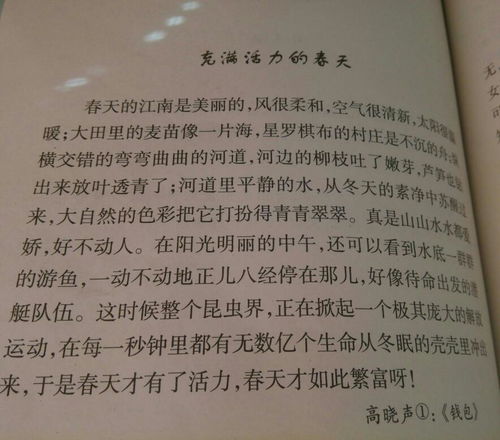 作文,短文,校园