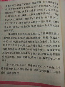 校园美景作文450字作文