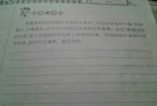 介绍校园的篮球社团作文