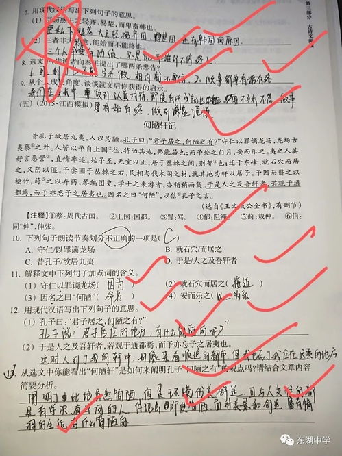 期待相聚校园作文