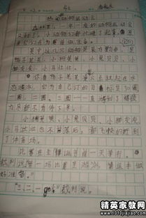 作文,运动会,写一篇,校园