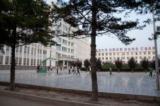 美丽的甘肃省西峰区新建校园作文