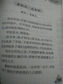 美丽的叶子花作文,描写叶子花的作文,叶子花作文三年级