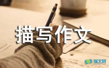 关于校园的场面描写作文