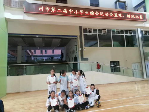 我的校园作文,实验三小校园作文,美丽的三小校园作文400字