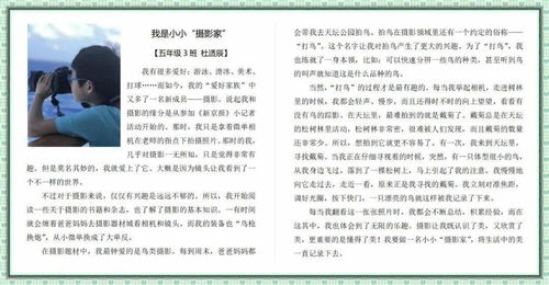 优秀作文中午的校园