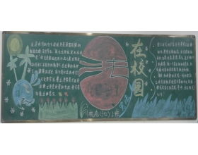 忆校园高中作文800字