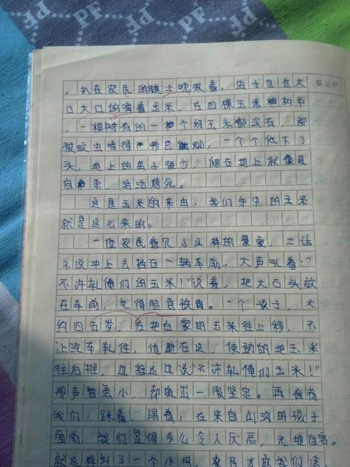 校园美景作文700字高一