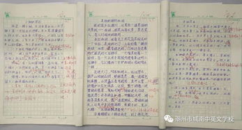 校园新风暴是什么作文