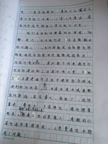 用说明文写我的校园的作文怎么写