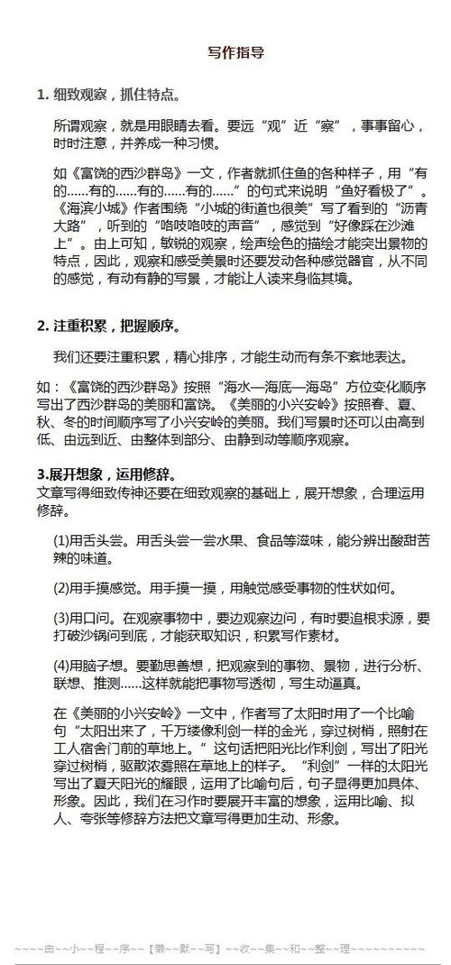 作文,美丽,校园