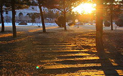 作文,风景,校园