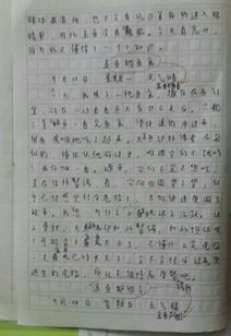 校园的石子小路作文350字