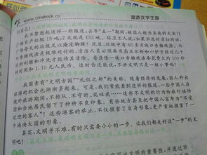 作文,校园