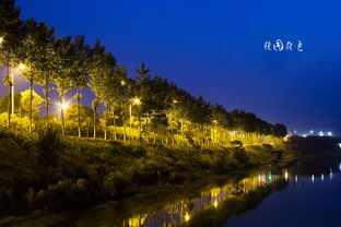 作文,初冬,夜景,校园