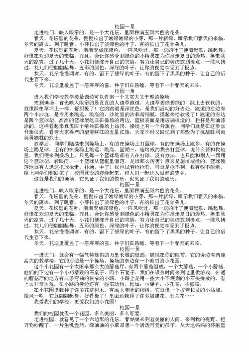 校园景色作文四级500字