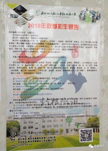 平马路小学校园的生活作文