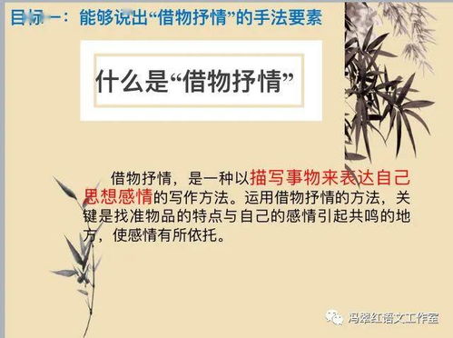 借物抒情的校园作文