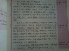 描写校园春夏秋冬三段式的作文