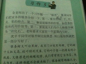 校园里的香樟树优秀作文