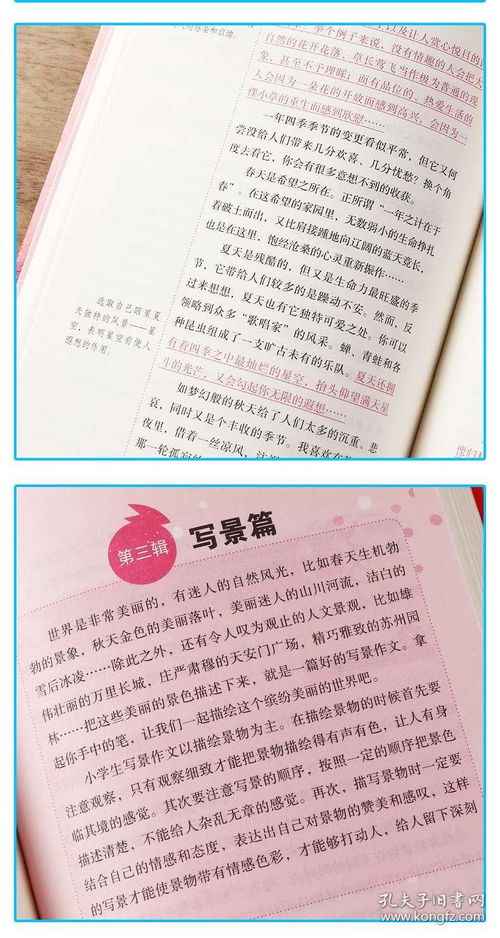 美丽的校园作文4级6