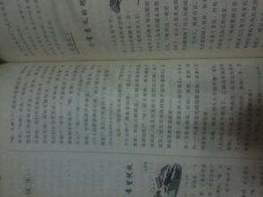 我做校园小主人作文