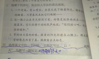 志愿打扫校园作文400字