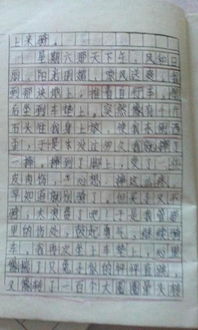 校园一事的作文参考