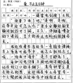 我的校园满分作文800字