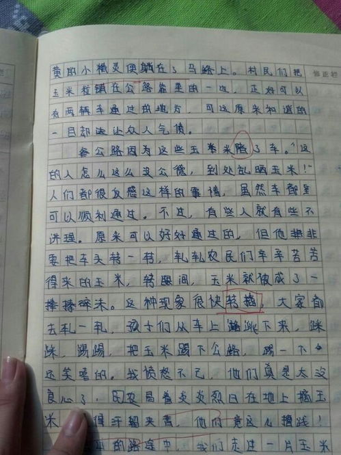 校园美景作文700字初一,校园美景作文700字初中,校园美景作文700字左右