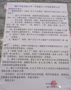 关于我美丽的校园沙河二小的作文400字
