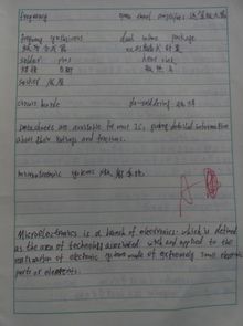 作业,作文,校园