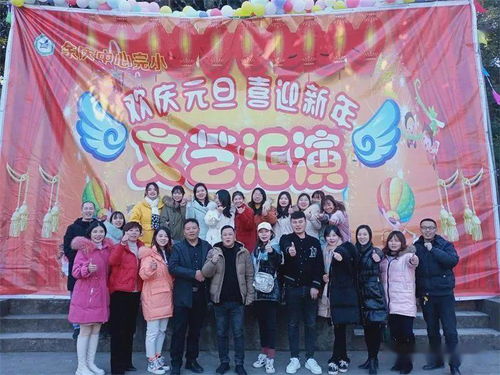 关于校园元旦演出活动的作文