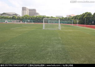 作文,足球场,新建,校园