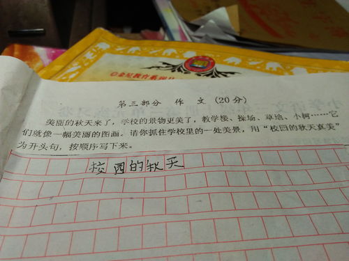 校园暴力作文小学三级