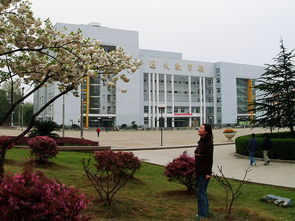 松原,作文,大学校园,美景
