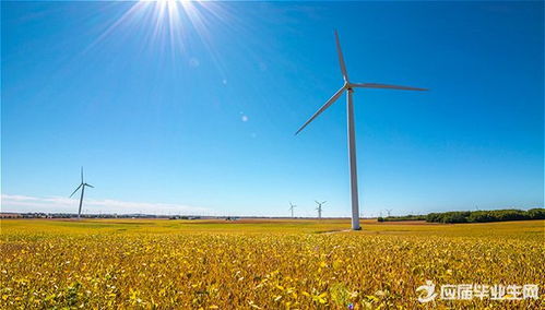 初中校园生活的作文700字