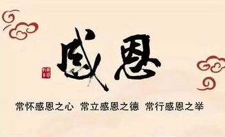 校园励志标语演讲稿800字,校园励志演讲稿600字,校园励志演讲稿300字左右