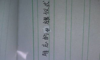 作文,丰富多彩,校园内