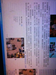 作文,校园里,愉快