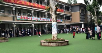 美丽的校园作文道北西街小学