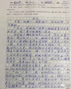 写一篇龙山小学校园的作文300字