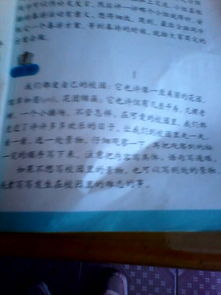 作文,一处,景物,春天