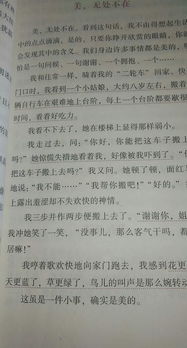 校园美好生活初三作文800字