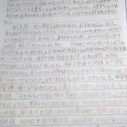 平安法治校园作文1000字