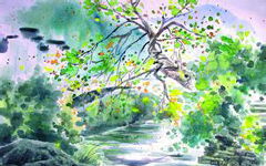 校园的春雨作文200字