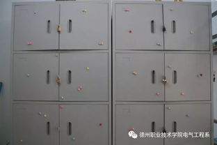 和谐校园温馨宿舍征文,共建和谐校园温馨宿舍3000,和谐校园的作文