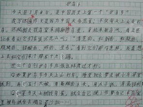 校园清洁工阿姨作文400字