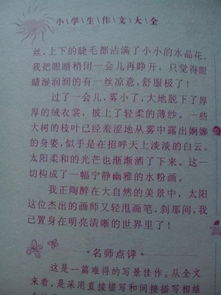 校园的雪景作文600字,校园雪景作文500字,校园雪景作文400字