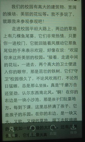 中国最美校园说明文作文开头